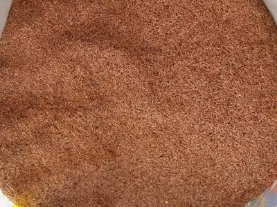 永利集团·yl(中国游)官方网站